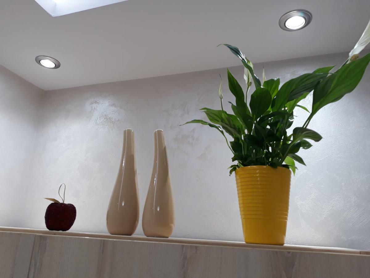 Sweet Yellow Apartment 贝尔格莱德 外观 照片